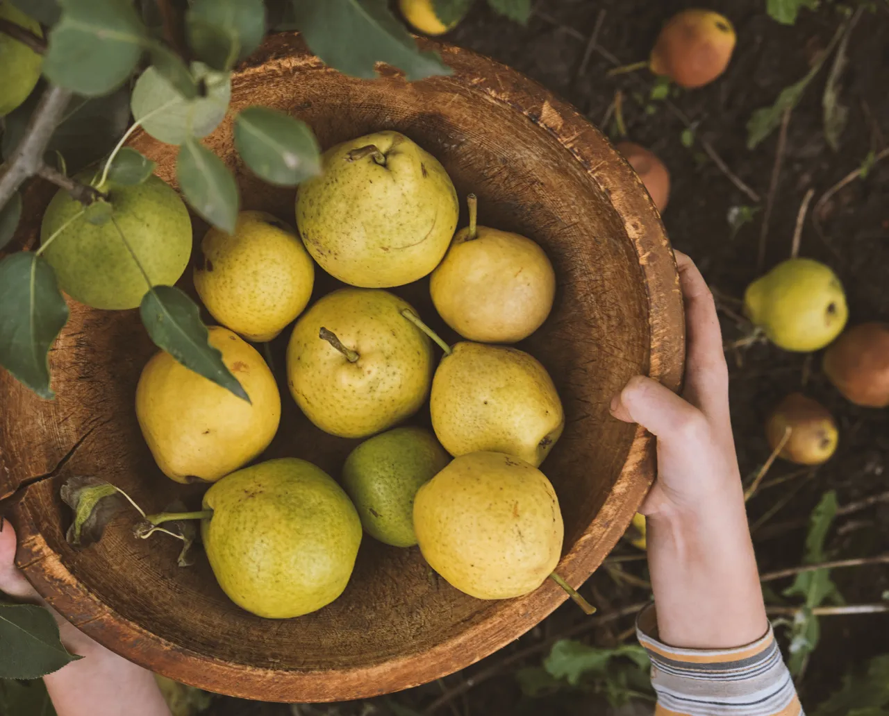 Khaki RGB, CMYK, HEX Color Codes and Color Meaning