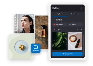 upload-whatsapp-statuses-design upload whatsapp statuses design